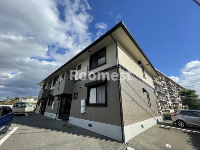 ハイカムール坂井