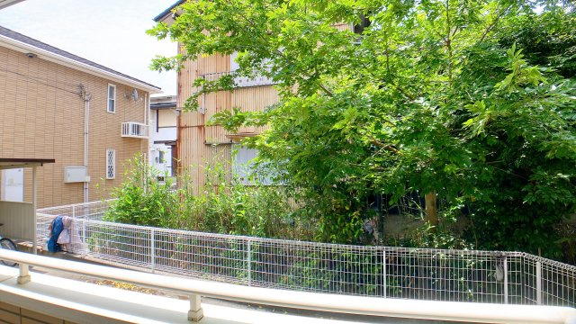 コモドアロッジオⅡの展望