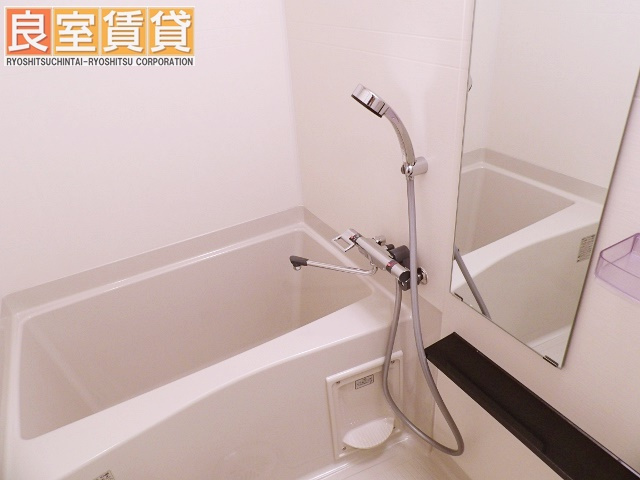 メゾン岩室の洗面所