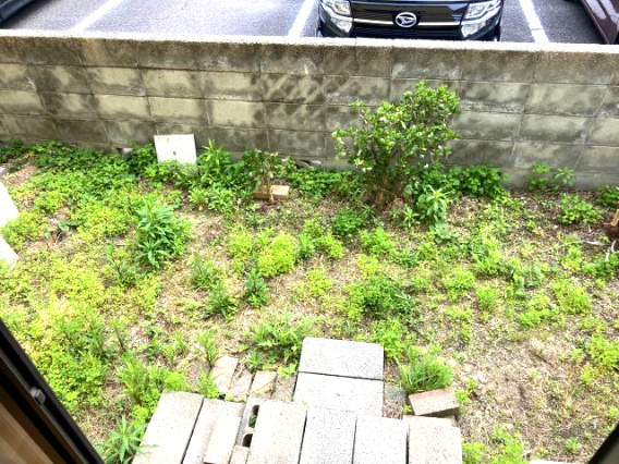 土居田　中古戸建の庭