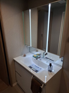 【独立洗面台】東峰マンション弥生が丘ステーションペサージュ 