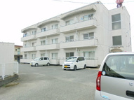 シンセリティ常盤の画像