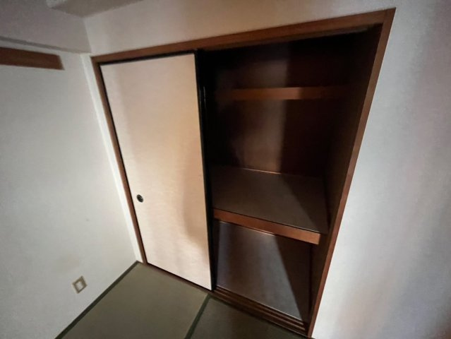 INSURANCE(インシュランス)BLDG.(ビルディング)ⅩⅥ(シックスティーン)流山の収納