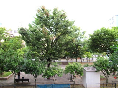 【展望】 | 東光パークハイツ | 公園が目の前で緑がたくさん