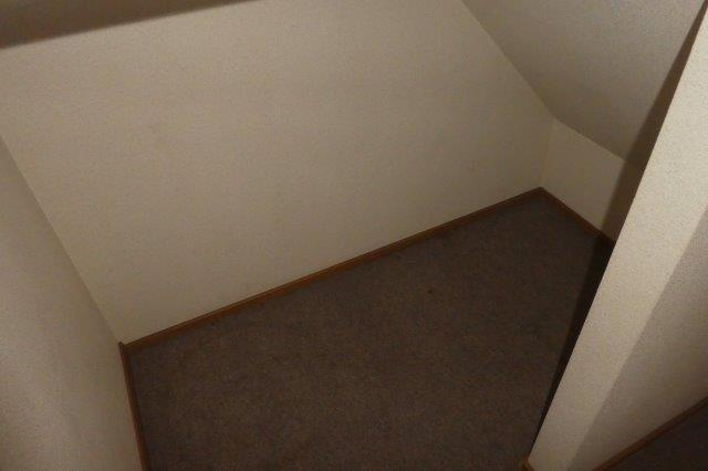 クレストール山地Bの収納|階段下収納