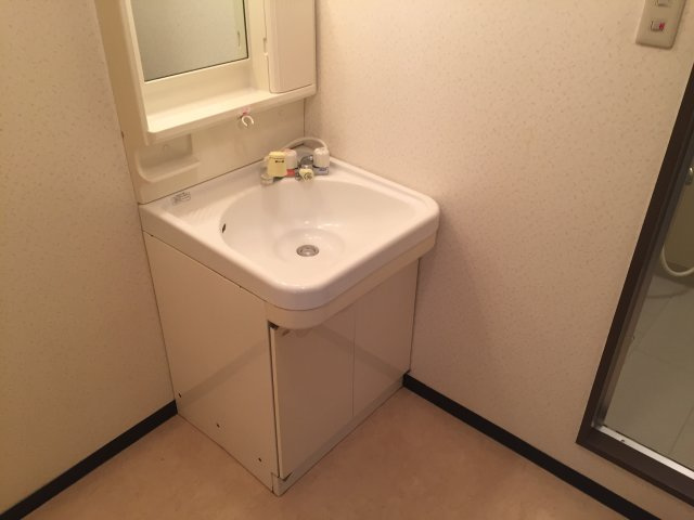 クリスタル西庄の洗面所