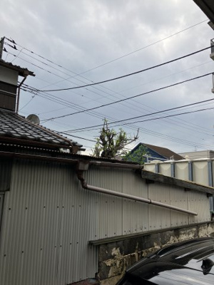 【展望】 | ボナール花小金井Ａ