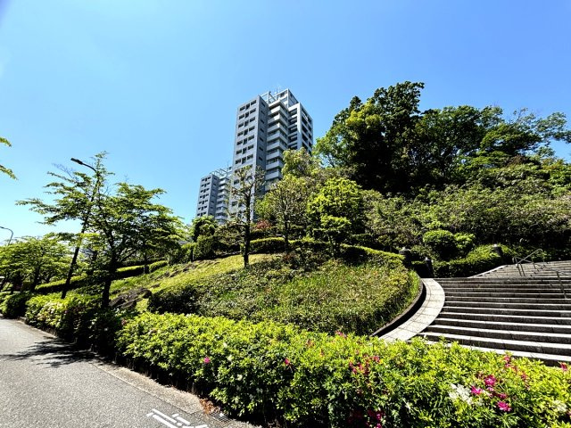 緑と調和のとれた景観がとても綺麗な街です！