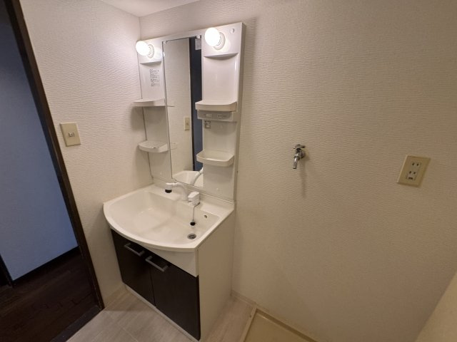 ロイヤルグレース上野東の独立洗面台