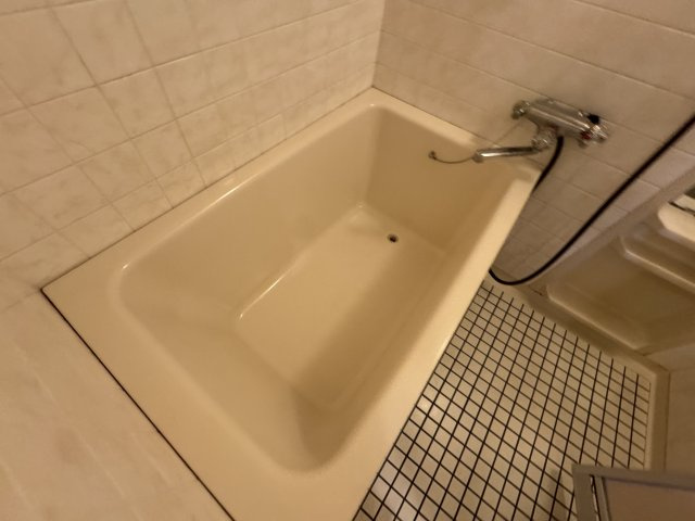 ロイヤルグレース上野東の浴室