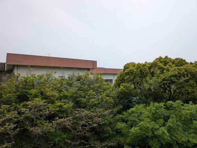 プレシオ緑ヶ丘の展望