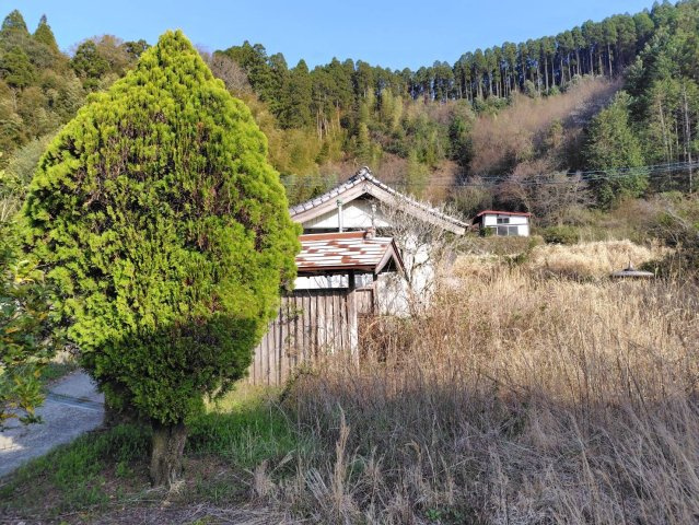 九重のその他