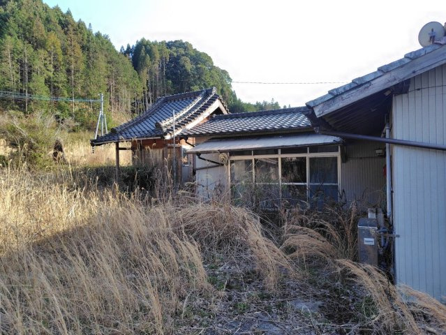 九重の庭