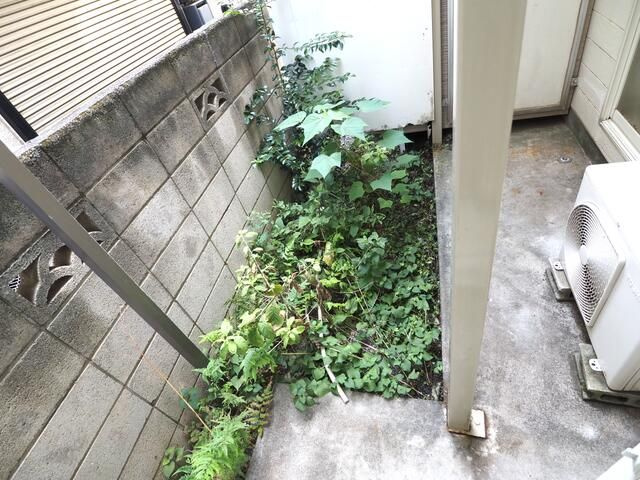 マックステーション柳沢の庭