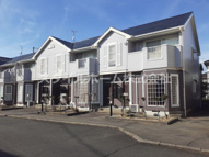 ファインスプリング　Ｂの画像