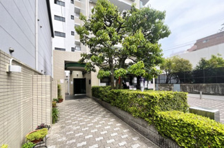 【庭】 | ルミエール藤ノ森 | 《ローンの事やお家探しのご相談は（株）ゆいホームにお任せ下さい。ちょっとした疑問にも解りやすくお応えします。》お気軽にどうぞ(^^)/