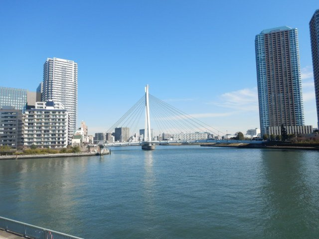 パークシティ中央湊ザタワーの周辺