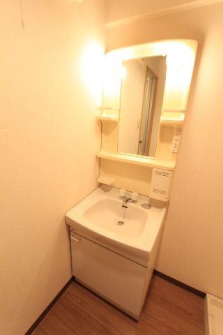 メゾンユーラップの洗面所