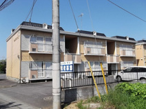 グレイスワイＤトウの画像