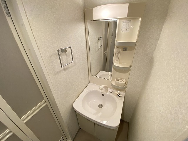神戸市須磨区大田町４丁目の賃貸マンションの洗面所|シャンプードレッサー