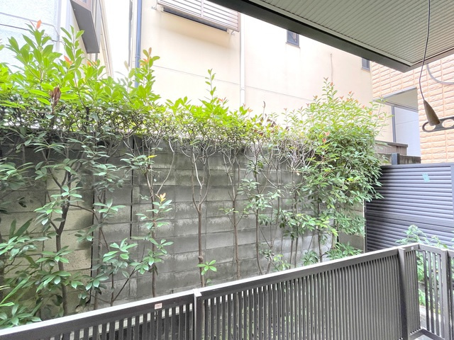 ウィステリアの展望|★眺望です★