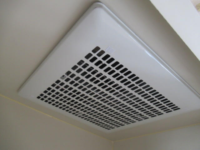 ブリュンヒルトのその他