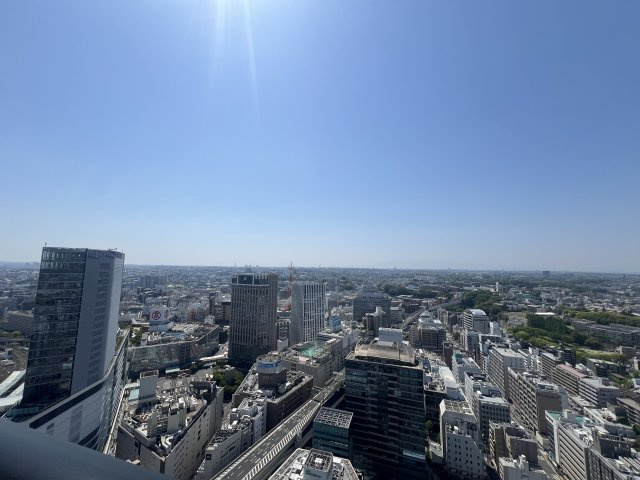 これぞタワマン！32階の富士山拝める眺望は無敵！【THE YOKOHAMA FRONT TOWER】の展望