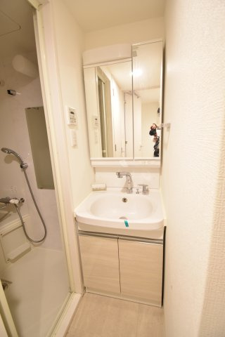 アドバンス上町台シュタットの洗面所