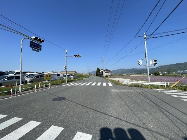 植柳下町　売土地の周辺