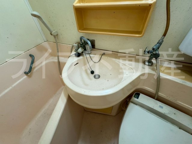 八戸ノ里グリーンハイツの洗面所|広い洗面スペース