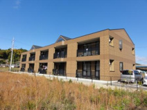 ＰａｕｌｏｗｎｉａⅡ（パウロウニアⅡ）の画像