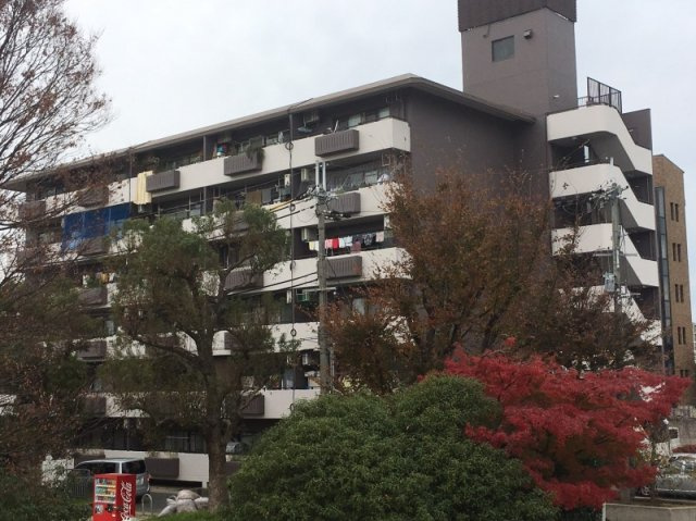 パークサイドコープ林