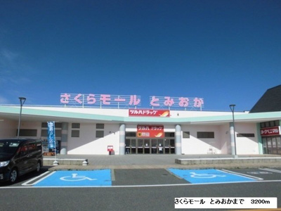 【周辺】 | ジェントリー | さくらモール　とみおかまで3200m
