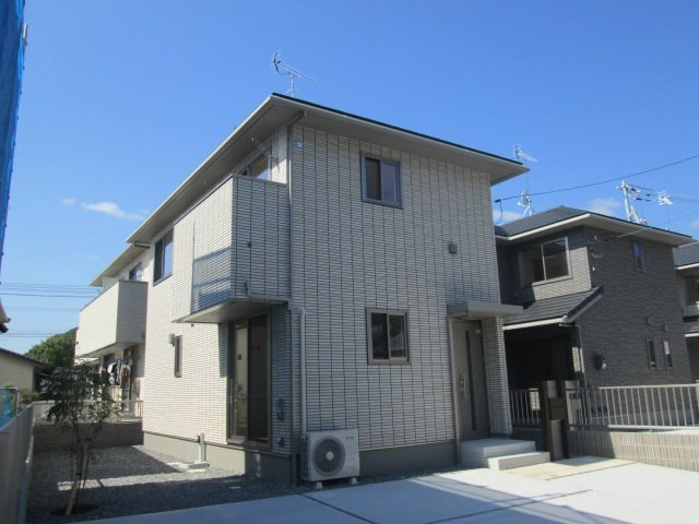 ハナミズキ