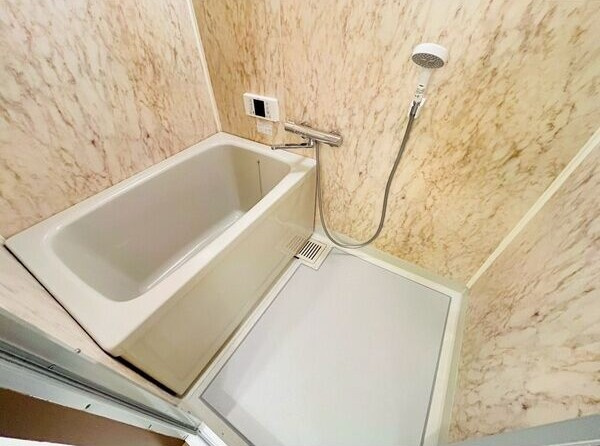 レジーナマルフクの浴室