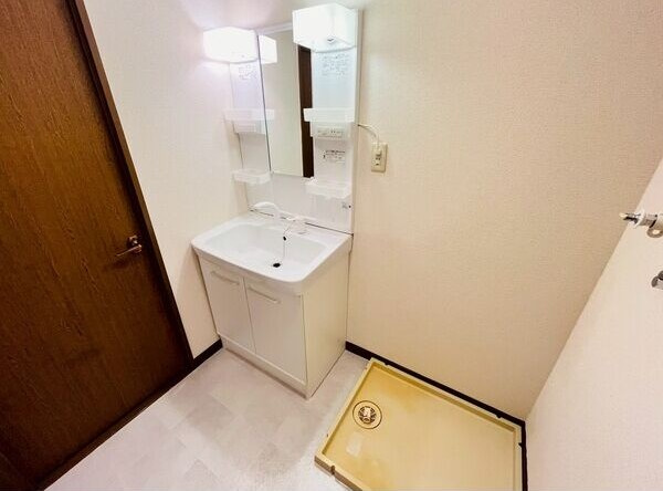 レジーナマルフクの洗面所