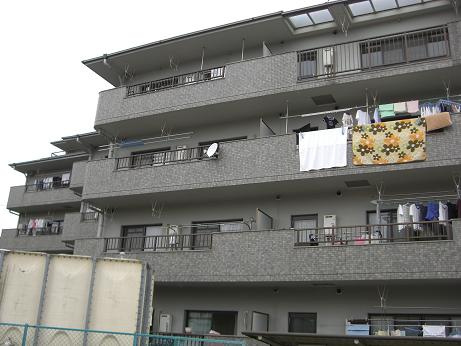 レジーナマルフク