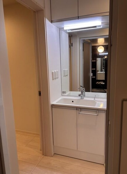 デザイナーズ呼続の家の洗面所