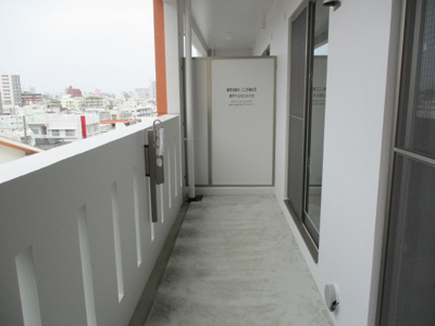 【その他】 | ルピナス順風