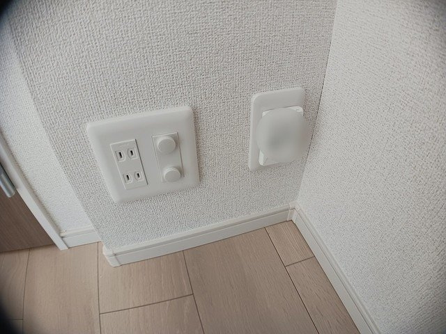 デールのその他