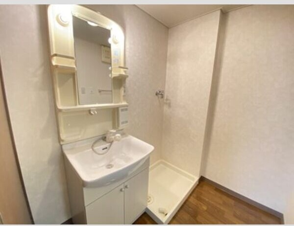 リアルコンフォートの洗面所