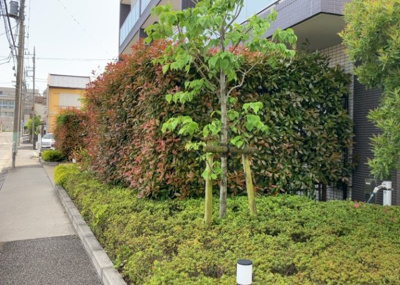 【庭】 | イアース八王子 | 物件によっては、入居者が個人的に使用できる専用庭がついているものもあります。また、住宅の中にある土間の部分を庭と呼ぶこともあります。庭の用途は住む人によって変わり、それによってデザインもさまざまです。