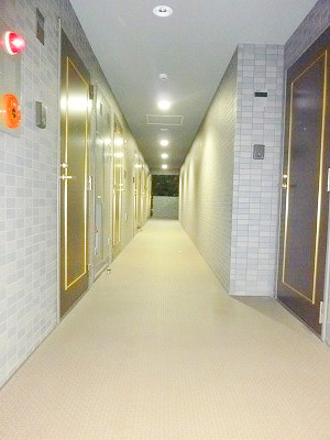 【その他共用部分】 | ルーブル豊玉伍番館 | 共有廊下