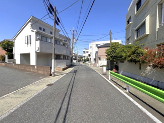 【周辺】 | 2025年5月8日撮影