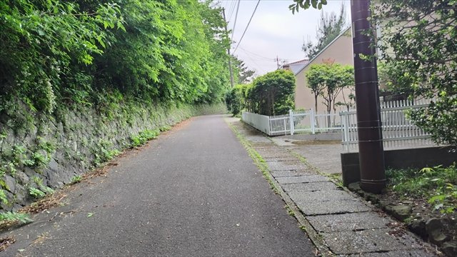 富士急川奈別荘地の前面道路含む現地写真