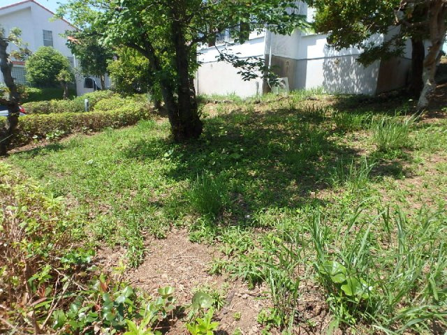 S1716H 碁石が浜分譲地中古住宅の庭