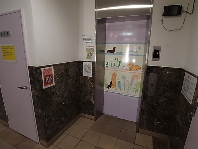 神戸市長田区松野通２丁目の賃貸マンション