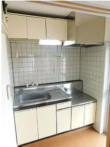  | ドミール・カミ