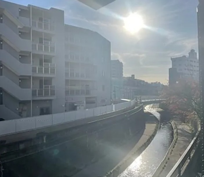 Sin Prisaの展望