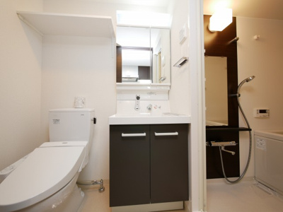 【独立洗面台】 | エステムコート新大阪Ⅺリンクス | 使いやすい独立洗面台です
